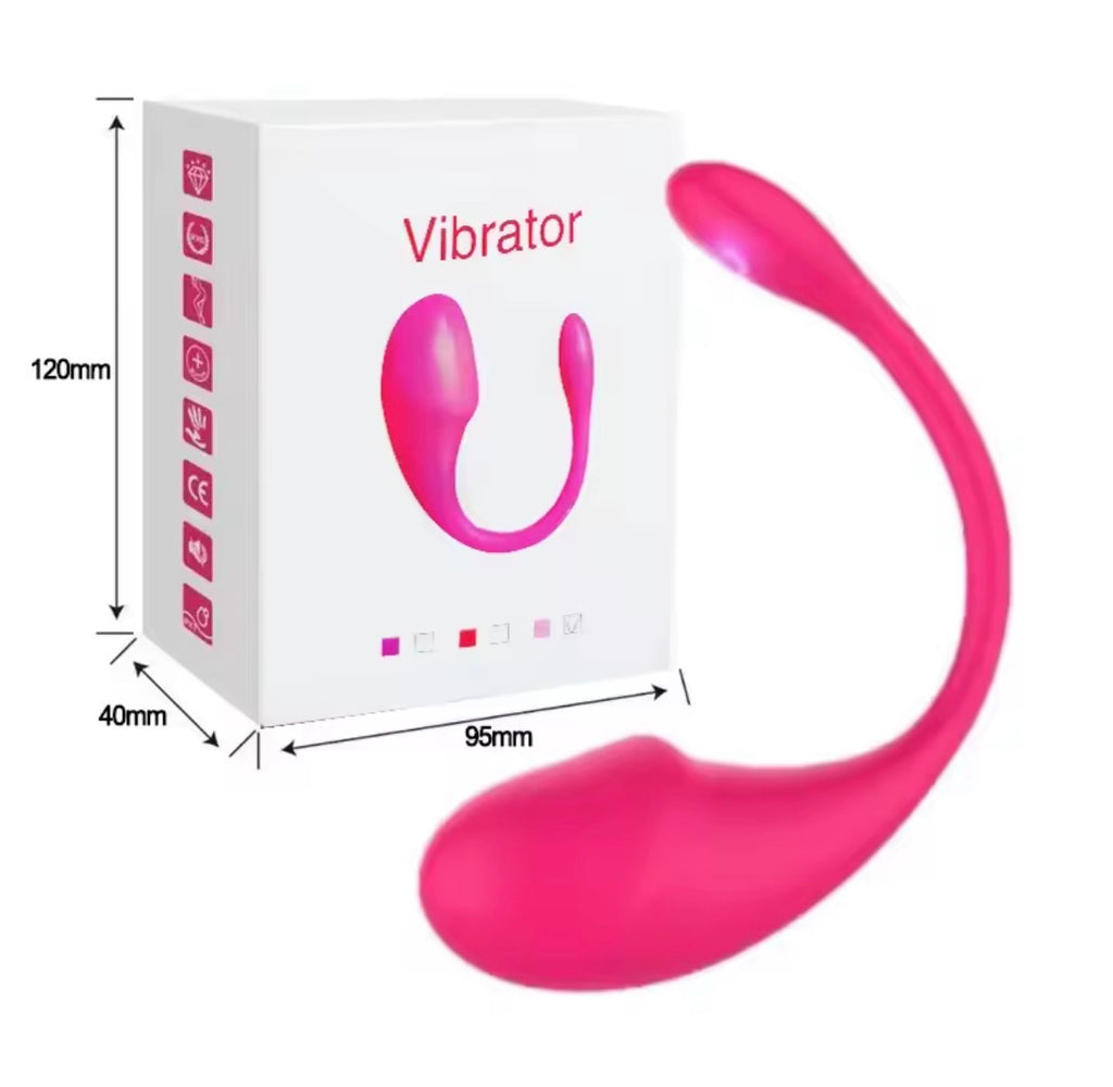 10 Vibrations APP Remote Control G-spot Panty Vibrator
