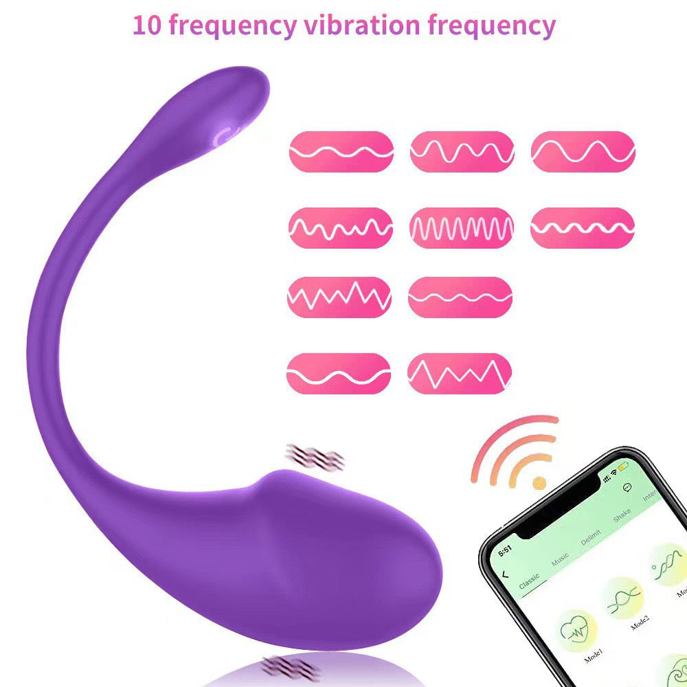 10 Vibrations APP Remote Control G-spot Panty Vibrator