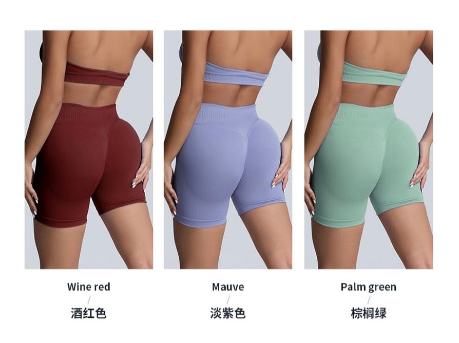 High Quality Hightwaisted Stretchy Biker Shorts