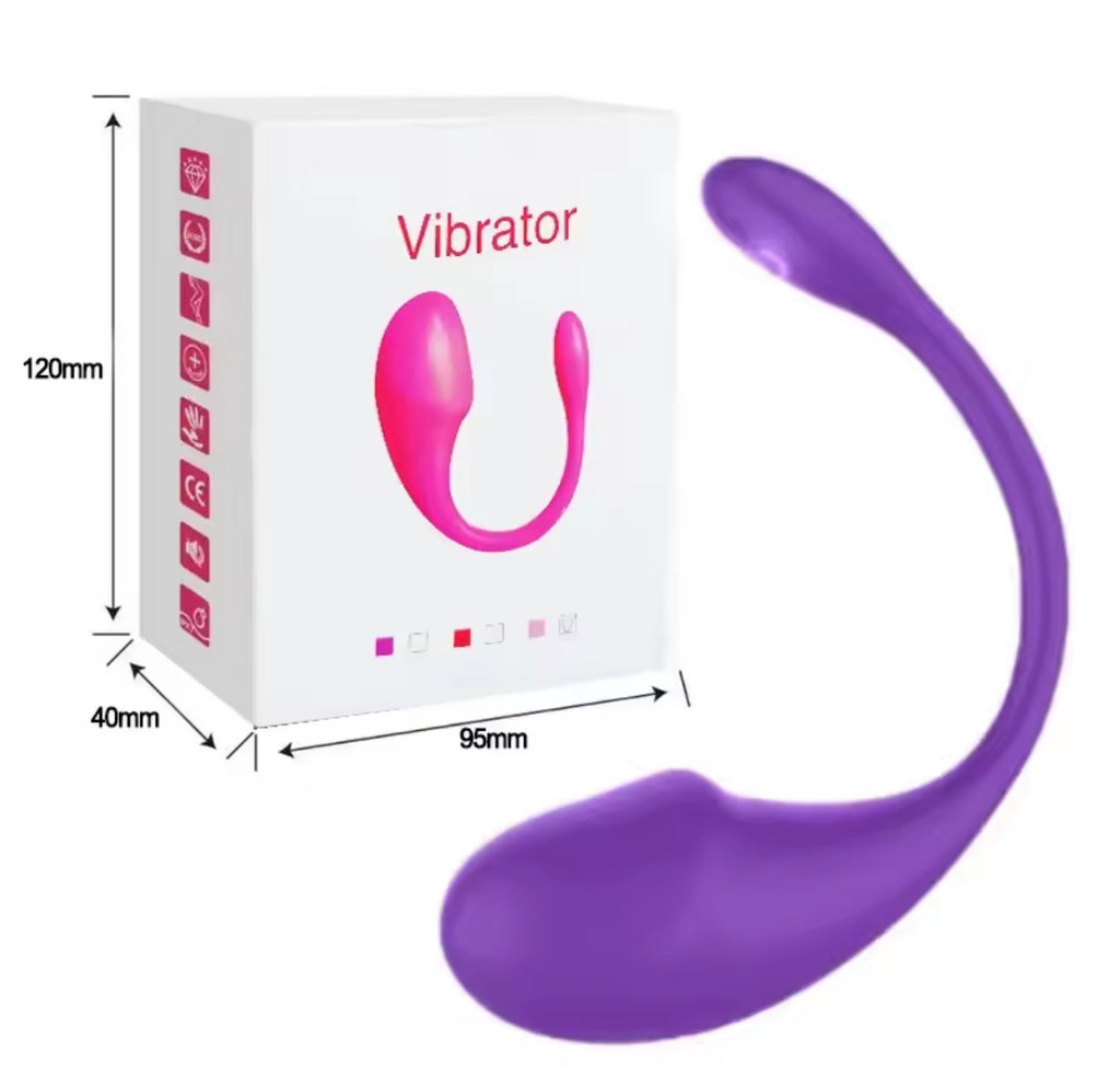 10 Vibrations APP Remote Control G-spot Panty Vibrator