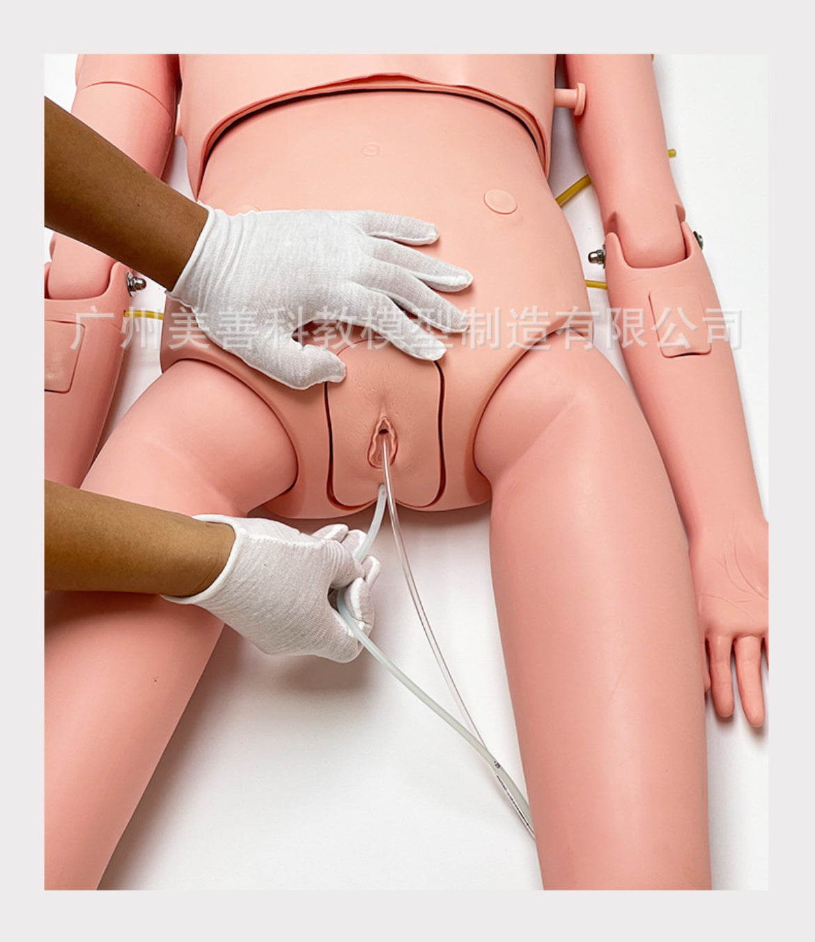 Advanced Nursing/Medical Care Mannequin with 8 Trauma Modules & Interchangeable Reproductive System for Teaching