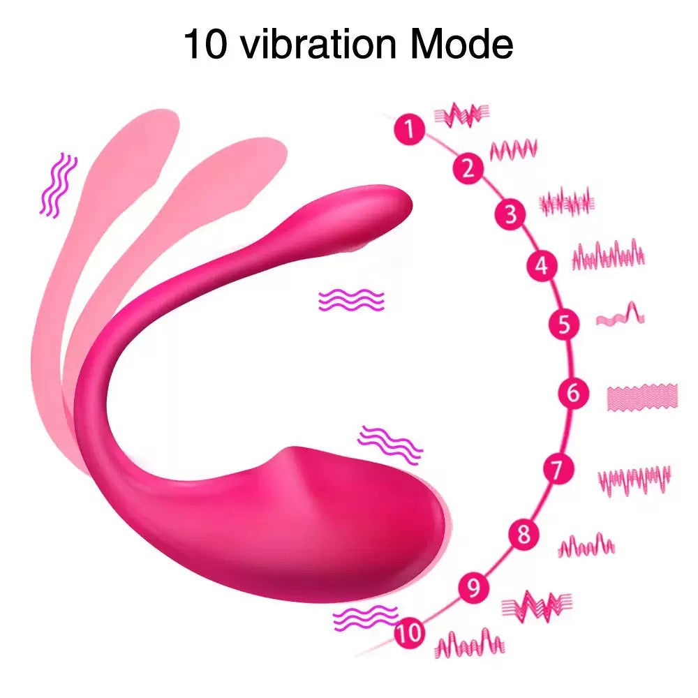 10 Vibrations APP Remote Control G-spot Panty Vibrator