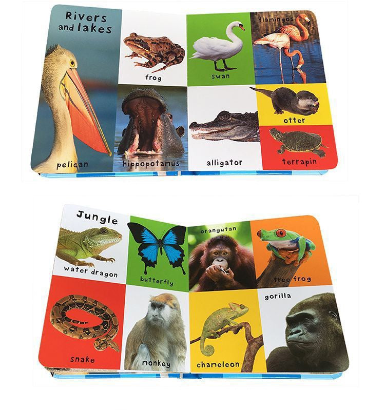 Kids “First 100” Learning Board Book – Early Words, Numbers, Animals & Vehicles (Set of 9 Books)